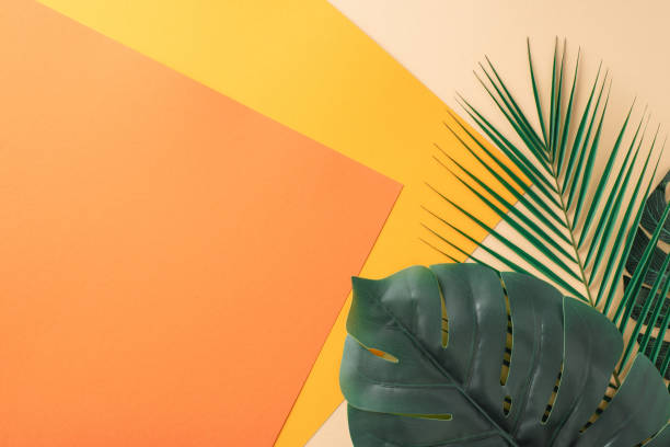 istock A creative and colorful background featuring tropical palm leaves arranged on a geometric pattern of orange and yellow hues, perfect for summer and design concepts 2153989024