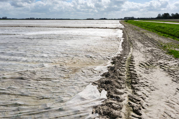 istock Agricultural field with plastic sheeting 2153992884