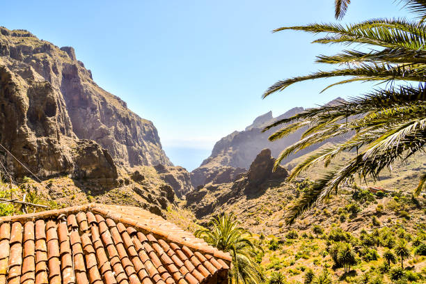 istock A view of a mountain range with a palm tree in the foreground 2154001362