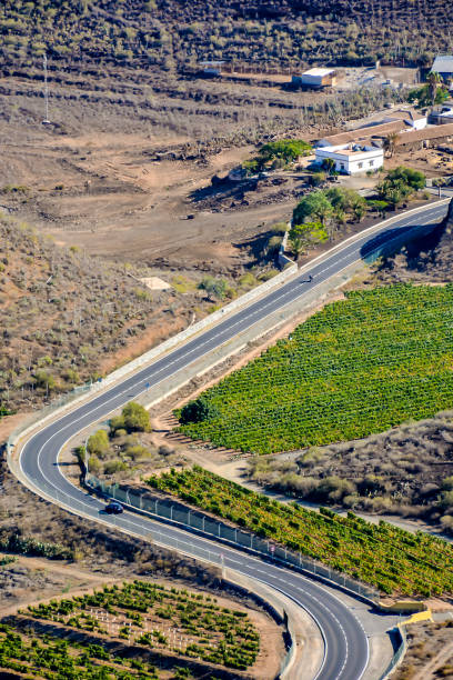 istock A winding road with a vineyard in the background 2154001363
