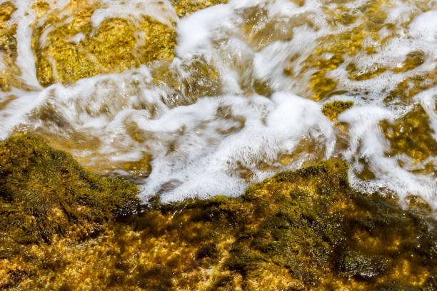 seawater flowing in the rock formation with seaweed at the coastline