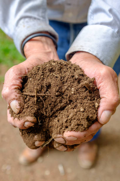 istock Hands Holding Fertile Soil 2154008351