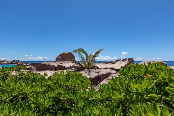 huge rocks at the marron beach on la digue island, seychelles, indian ocean islands.