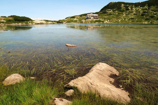 View over the Fish Lake, Ribnoto Ezero, water plants, grass can be seen below the smooth surface, the Seven Lakes Chalet can be seen on the shore in the background reflecting in the water, Rila National Park, close to Sofia, Bulgaria 2022 vista sobre el lago de los peces, ribnoto ezero, las plantas acuáticas, la hierba se puede ver debajo de la superficie lisa, el chalet de los siete lagos se puede ver en la orilla en el fondo reflejándose en el agua, parque nacional de rila, cerca de sof