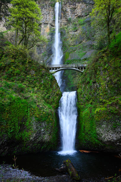 istock Iconc double drop at Multnomah Falls waterfall in Columbia Gorge 2154015718