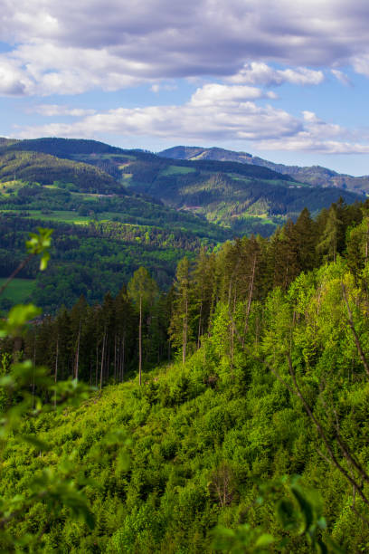 View of mountains covered with green forests against a cloudy sky.