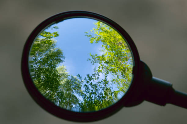 istock Green trees in the forest, reflected in a bicycle mirror. 2154024547