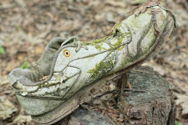 a creative picture of shoe