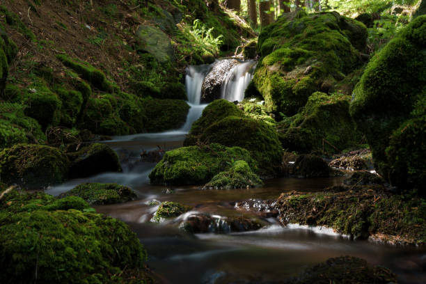 istock A tranquil small waterfall nestled within the heart of a lush forest 2154031553