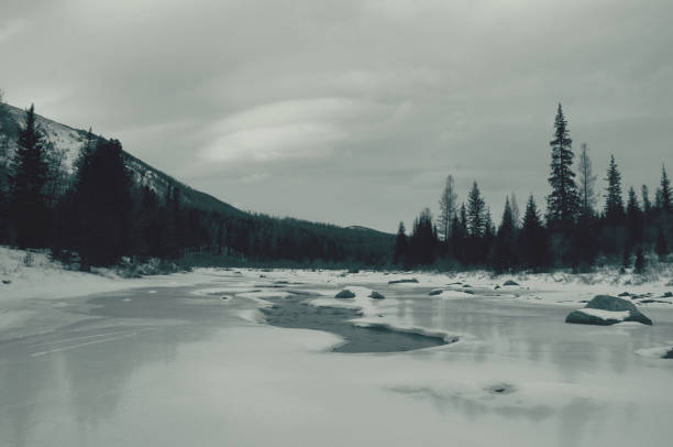 A river flows through a snowy landscape, flanked by trees and with mountains in the background, creating a beautiful natural scene. Multa River, Altai, Russia.