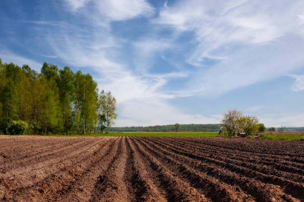istock Plowed field in the spring, spring landscape in the countryside 2154037014