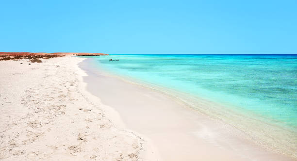 istock Beautiful sandy beach with turquoise water, Egypt. 2154037530
