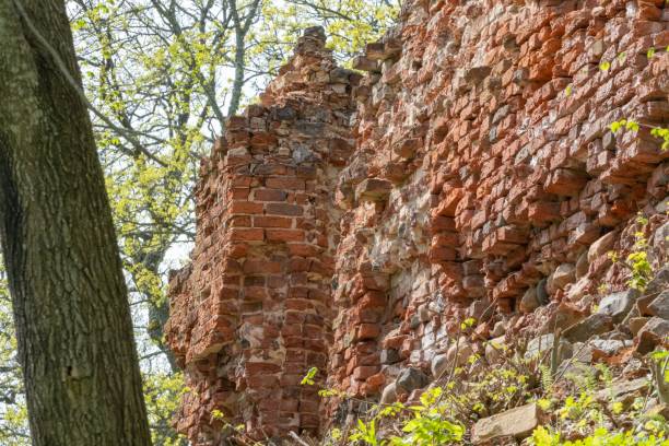 istock Ancient Wall Amidst Nature Reclaiming Embrace 2154039718