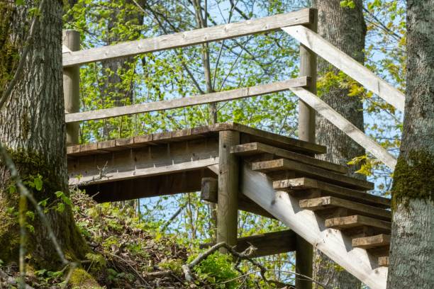 istock Wooden Bridge Amidst Natures Tranquil Beauty 2154039748