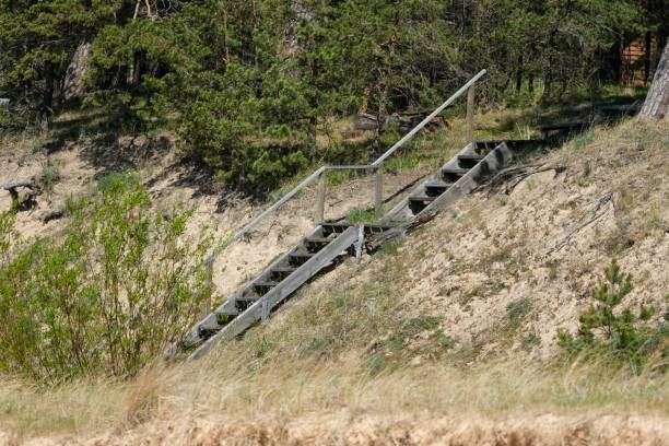 istock Wooden Staircase on Sandy Hill in Forest 2154040102