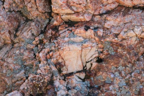 istock Close-Up of Lichen-Covered Rock Formation 2154040223