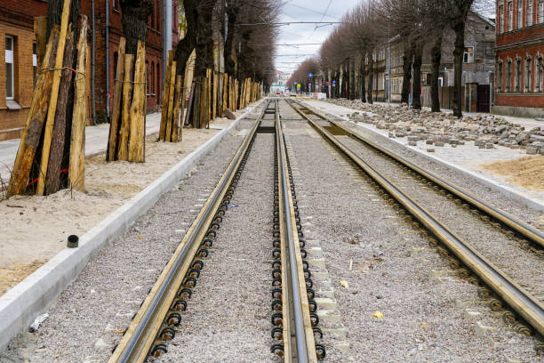 Perspective view of street reconstruction, tree trunks protection with board covers, newly replaced tram tracks and natural granite pavement