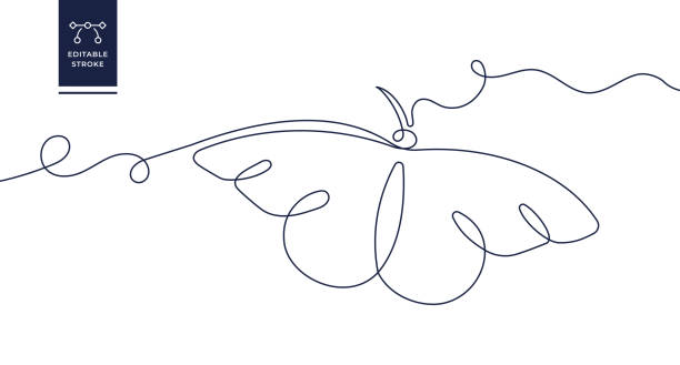 Butterfly Continuous Line Icon Butterfly Continuous Line Icon Design isolated on white background butterfly wing patterns stock illustrations