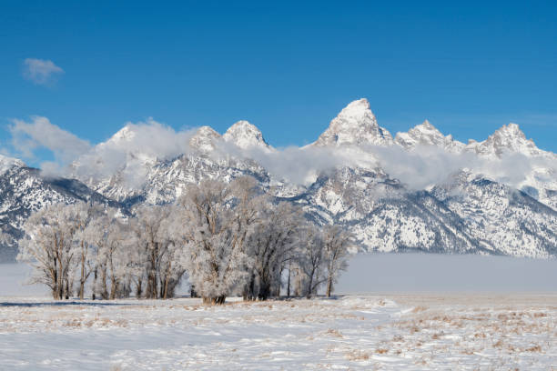 istock Landscape with snow and blue sky 2154042520