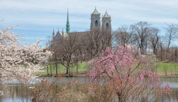 Flowering trees and plants mark the beginning of spring .Branch Brook Park is a public park in Essex , New Jersey where many tourists view the beautiful cherry blossom trees each spring.