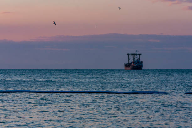 Sea gulls are flying over the low tide waters of Étretat beach.much.\nShot with Canon R5.