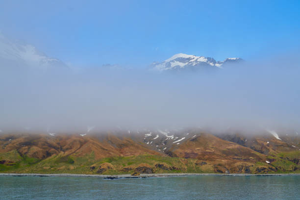 It's a home to a 20,000 strong king penguin colony, it's a beautiful grassy glacial plain, it's a elephant seal breeding location with a historic sealer's cave, and it looks unbelievably breathtaking from a distance.