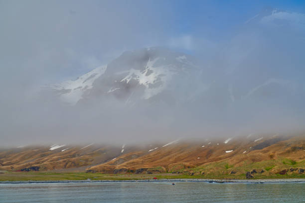 It's a home to a 20,000 strong king penguin colony, it's a beautiful grassy glacial plain, it's a elephant seal breeding location with a historic sealer's cave, and it looks unbelievably breathtaking from a distance.