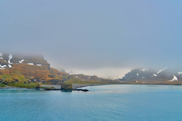 istock Fortuna Bay, Exploring South Georgia Island 2154052992