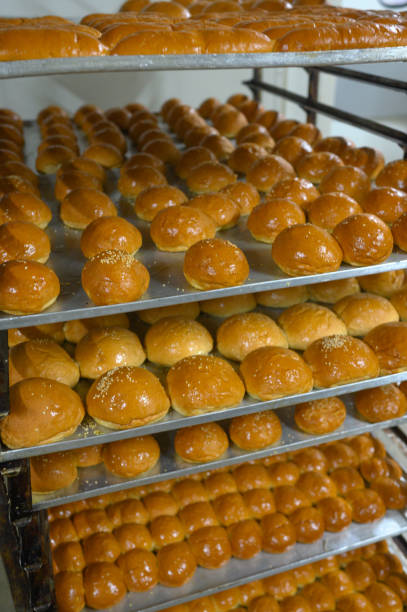 istock Sandwich bun with sesame seeds 2154053050