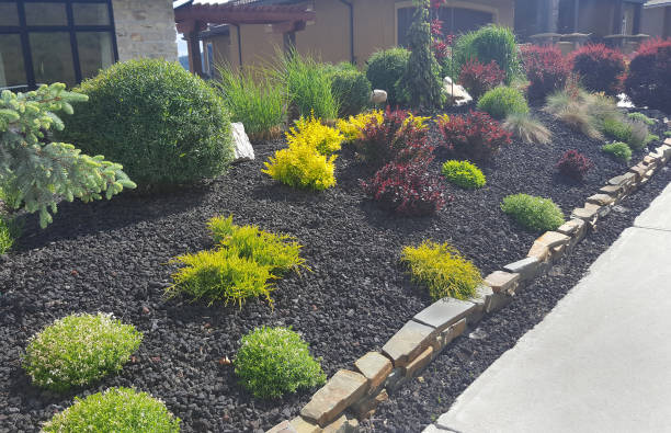 Curbside Appeal With Water Conservation Gardening