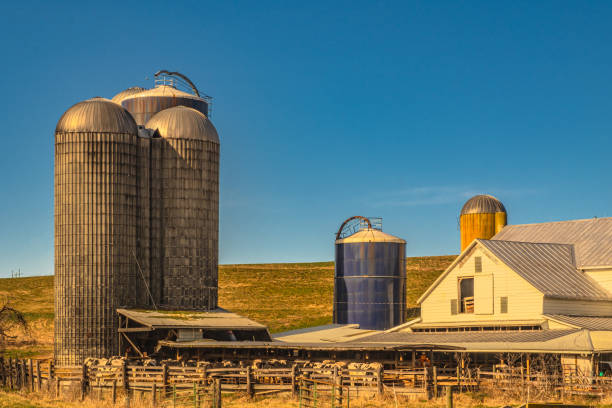 A weathered wooden cattle corral stands abandoned in a vast grassland prairie. The rustic structure, complete with fences and a small shelter, contrasts starkly against the expansive blue sky dotted with wispy white cirrus clouds. The foreground is filled with dry grasses and scrub vegetation typical of the Colorado high plains, stretching to the distant horizon