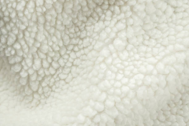istock Wool plush fleece fur fabric texture background 2154057576