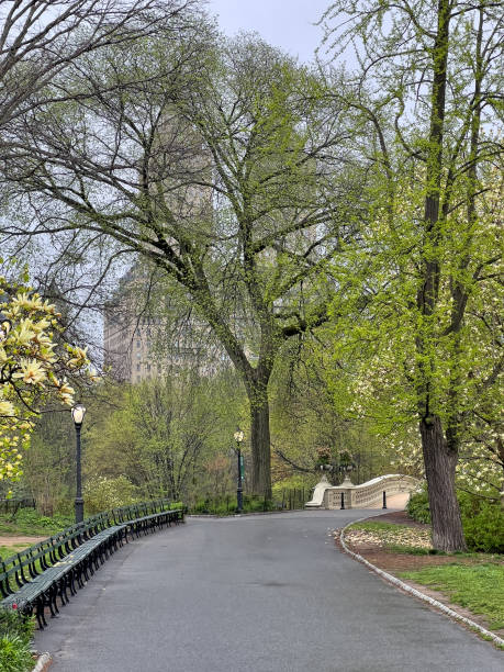 istock Bow bridge after morning rain in spring 2154058583