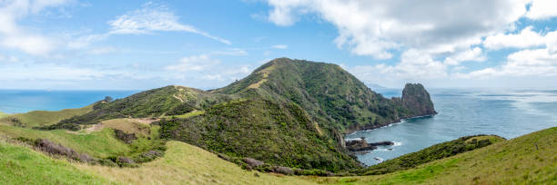 istock Fletcher Bay coastal cliffs on the remote Coromandel Coastal Walkway, breathtaking views of the Pacific Ocean and the rugged Moehau Range, New Zealand 2154059652