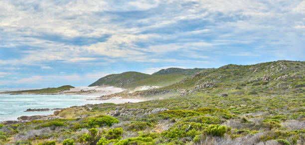 The wilderness of Cape Point National Park, Western Cape, South Africa