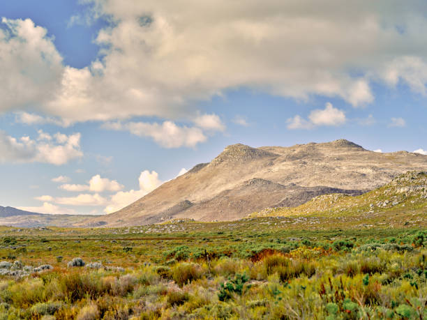 The wilderness of Cape Point National Park, Western Cape, South Africa
