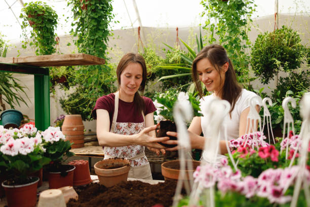 istock Two Women Working in a Flower Greenhouse 2154066758