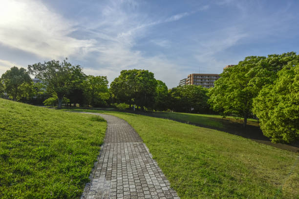 istock A promenade near a residential area. 2154074739