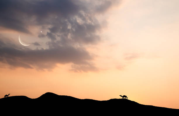 Islam Night Sky Moon Sunset Camel Desert Background Mubaruk Greeting Islam Ramadan Element Masjid Aqsa Hajj Kaaba Umrah Eid Arabian Religion Islamic Muhammad Arab Muslim Namaz Isra Miraj Quran Umrah.