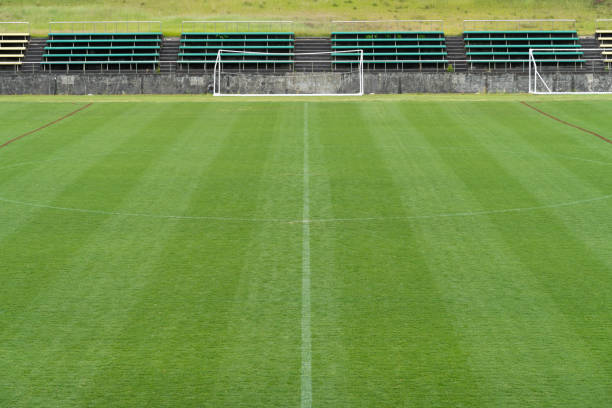 Green grass soccer field.