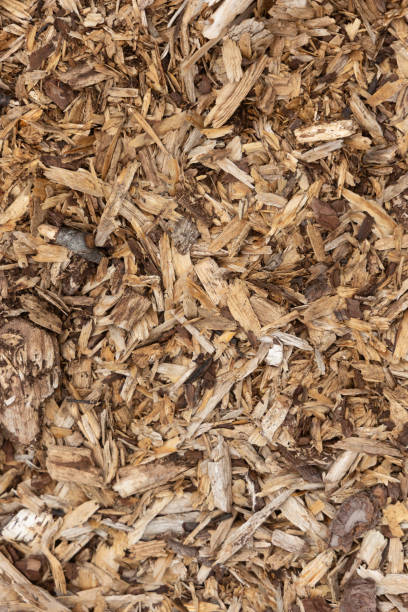 istock A beautiful wood chip texture on the ground. 2154084921