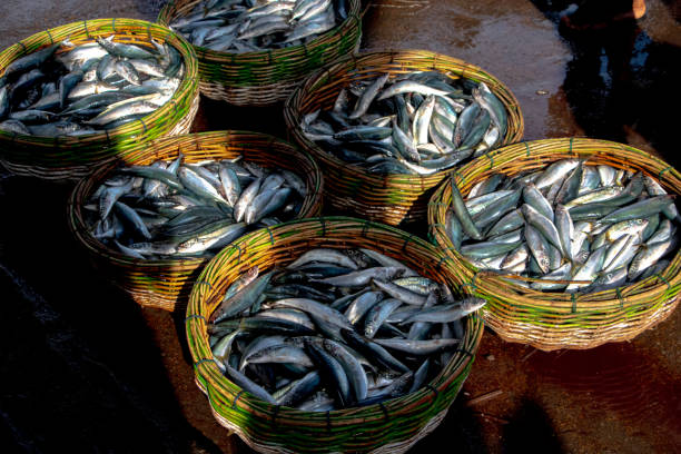 istock Fish baskets made of bamboo are sold outside the port 2154086607