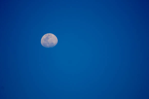 Half of the moon's disk in the evening blue sky.
