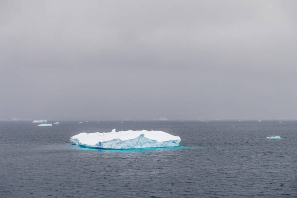 Icebergs and Glaciers align the coast of the Antarctic peninsula, and its many islands. Image taken near the fish Islands