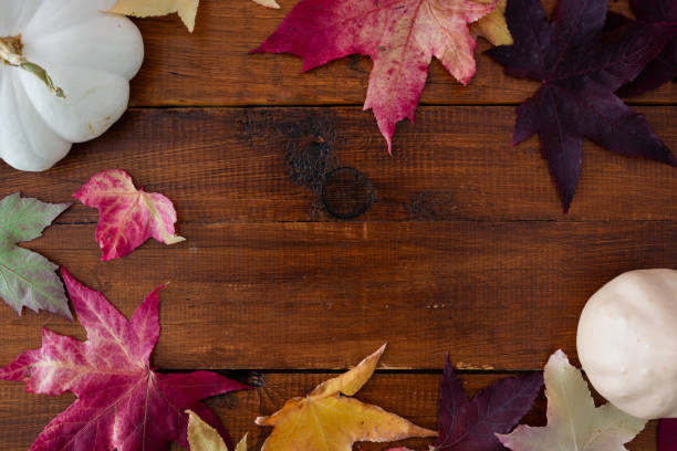 Autumn background whit leaves and pumpkins. Space for text