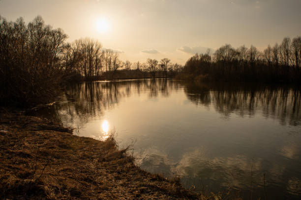 Landscape ponds in the evening sunset in early spring.