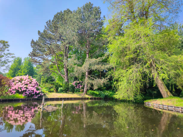 Scenic springtime view of a pond in Westbroekpark in the city of The Hague, The Netherlands.