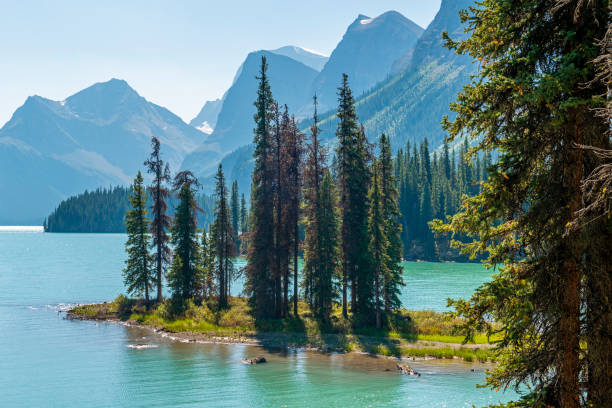 istock Spirit Island, Jasper, Canada 2154103863
