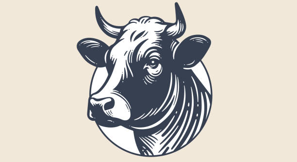 Cow, bull, beef. Black cow head silhouette with horns. Vintage retro print, black white cow, bull, beef sketch. Sketch artwork silhouette head cow. Vector Illustration