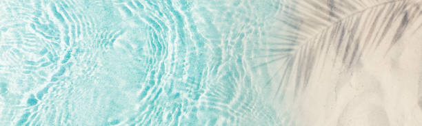 istock abstract empty sand beach from above with palm leaf shadow over transparent turquoise water wave, sunny background concept banner with copy space for travel and summer vacation outdoors 2154118893